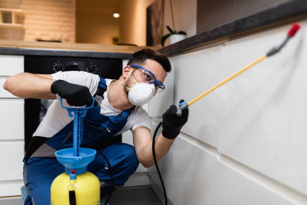Best Mosquito Control Services  in Munsey Park, NY