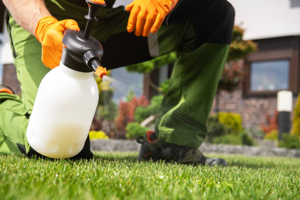 Best Emergency Pest Control  in Munsey Park, NY