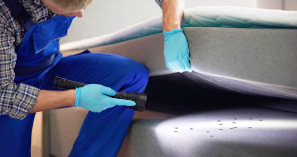 Best Bed Bug Extermination  in Munsey Park, NY