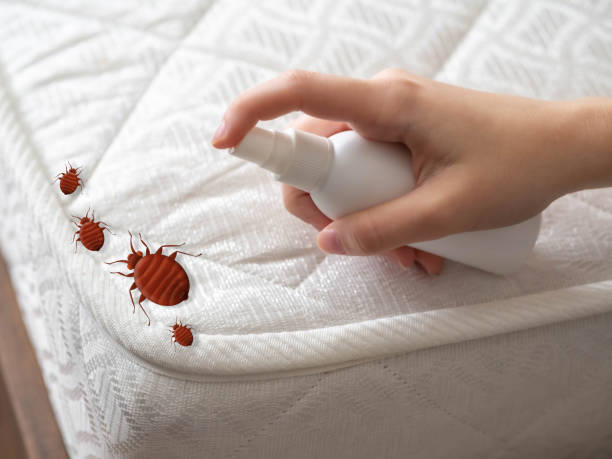 Pest Control for Restaurants in Munsey Park, NY