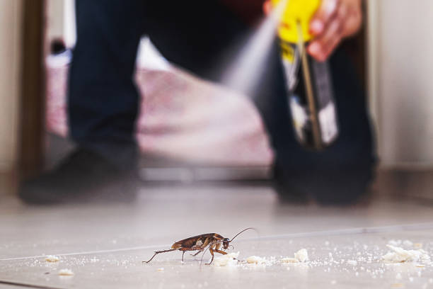 Best Emergency Pest Control  in Munsey Park, NY