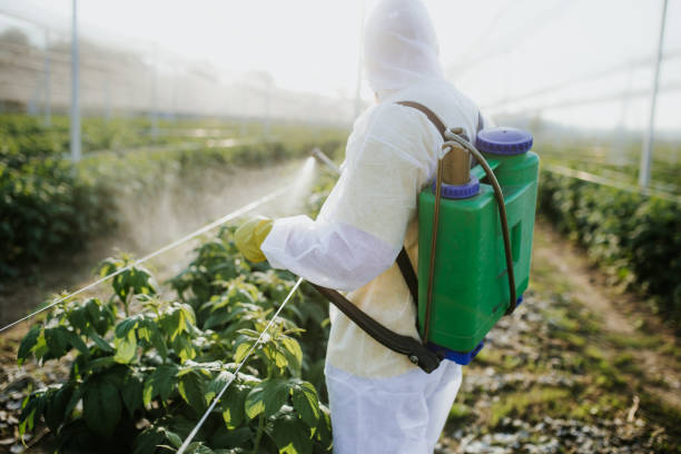  Munsey Park, NY Pest Control Pros